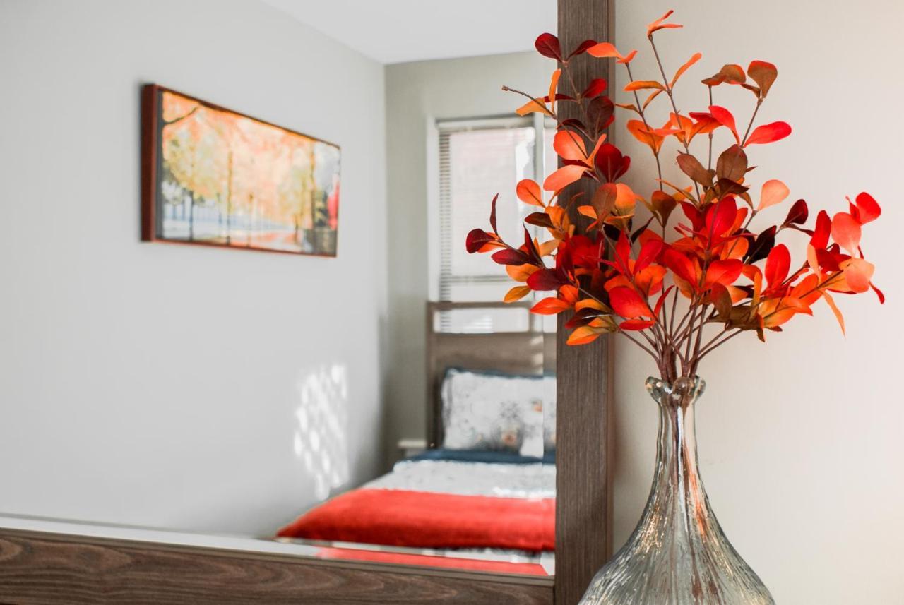 Lovely 2Br Apartment By Wooster Square- Great Neighborhood نيو هافن المظهر الخارجي الصورة
